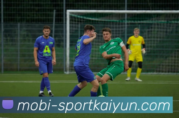 开云体育平台生态图