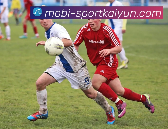 开云体育APP 封面图